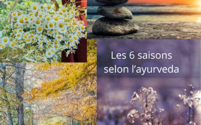 Shishira (mi-janvier à mi-mars) : la fin de l’hiver ayurvédique pour régénérer le corps et l’esprit