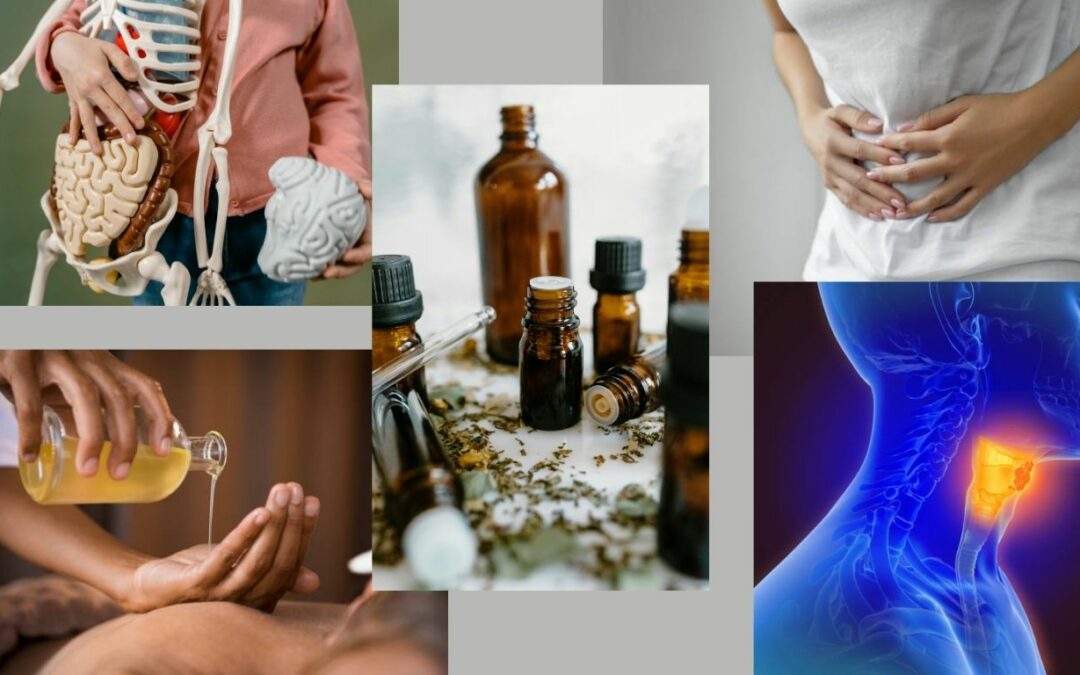 Ralentir en hiver : un soin ayurvédique pour l’équilibre hormonal et digestif